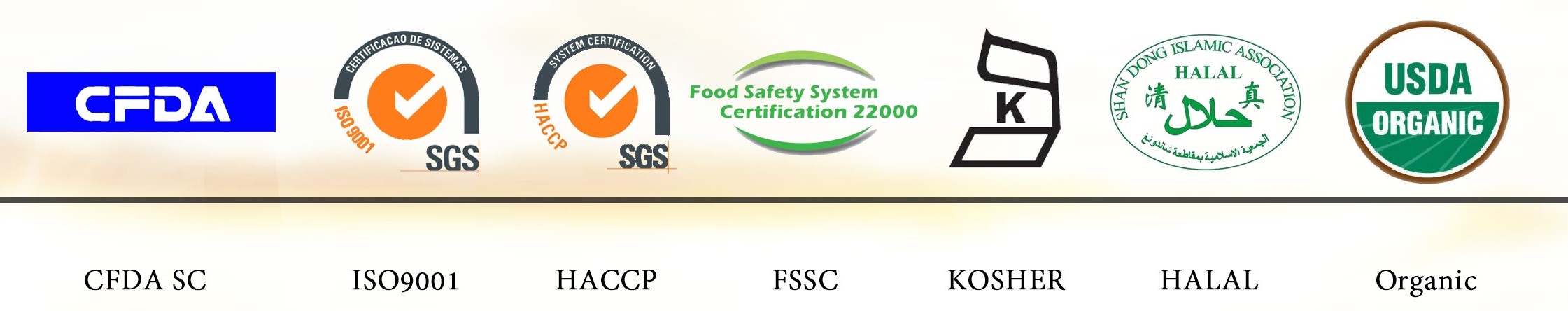 Certification Logo.jpg